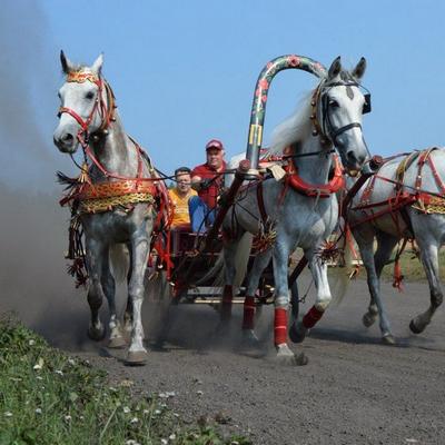 Фото экскурсии «Здесь русский дух»