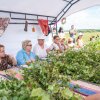 Фестиваль Дорога на Русский Север в Вельске. Август 2025 года. Фото 16