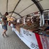 Фестиваль Дорога на Русский Север в Вельске. Август 2025 года. Фото 36