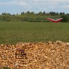 Фестиваль Дорога на Русский Север в Вельске. Август 2025 года. Фото 162