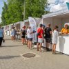 Фестиваль Дорога на Русский Север в Вельске. Август 2025 года. Фото 164