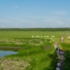 Фестиваль Дорога на Русский Север в Вельске. Август 2025 года. Фото 178