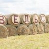 Фестиваль Дорога на Русский Север в Вельске. Август 2025 года. Фото 179