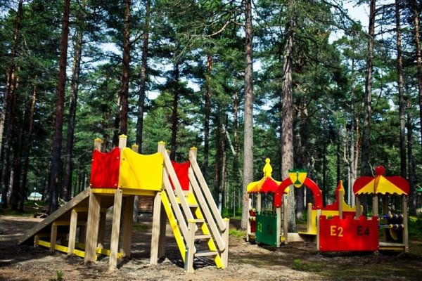 Фото Большая медведица