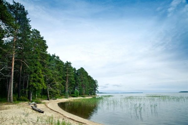 Фото Большая медведица