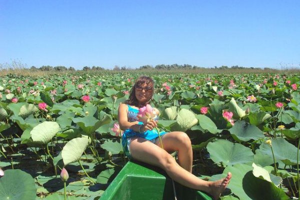 Фото База отдыха Олигри Fish