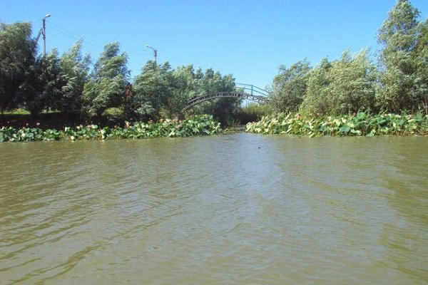 Фото База отдыха Олигри Fish