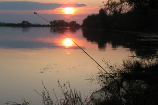 Фото Агроусадьба «Струсто»