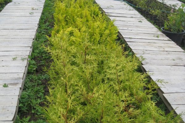 Фото Поместье Серебряного Века