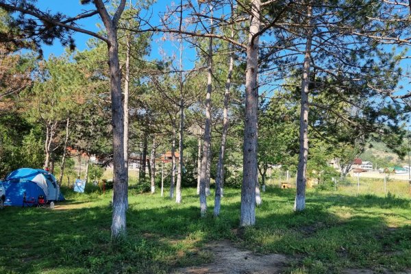 Фото Кемпинг Nordcamp