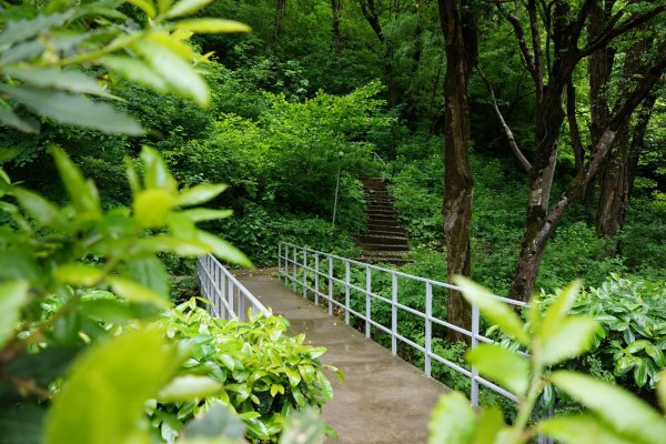 Фото Кемпинг Южный