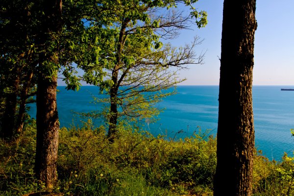 Фото Кемпинг Южный