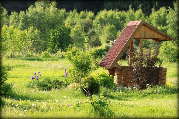 Фото Дендропарк в Смоленском поозёрье