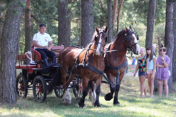 Фото АТК Богдарня