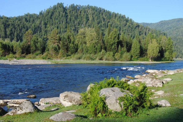 Фото Стоянка на Юртокской