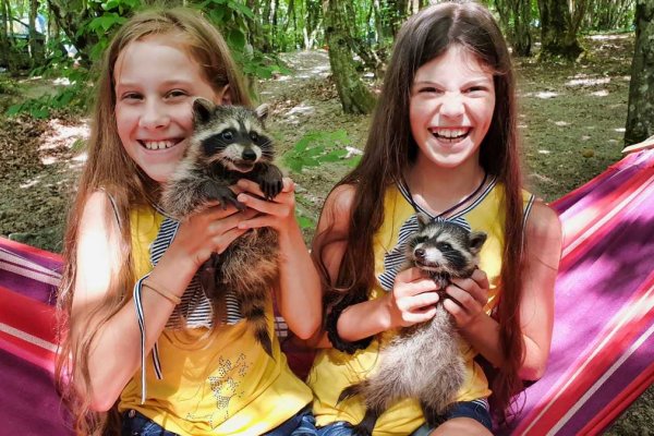 Фото Кемпинг Енот