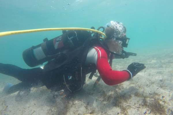 Фото Кемпинг Sunset