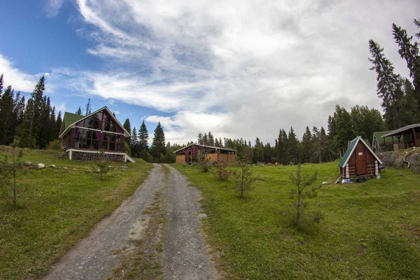 Фото Кемпинг Лесная Поляна