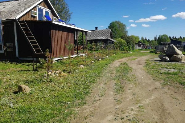 Фото Кемпинг Лесная Поляна