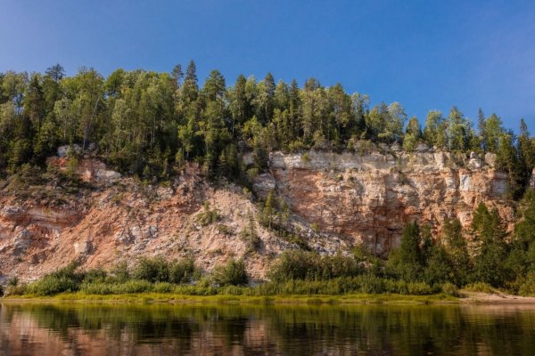 Фото Лесной отель «Голубино»