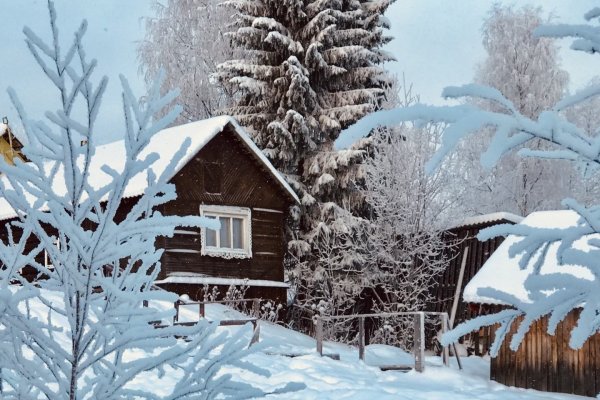 Фото Лесной отель «Голубино»