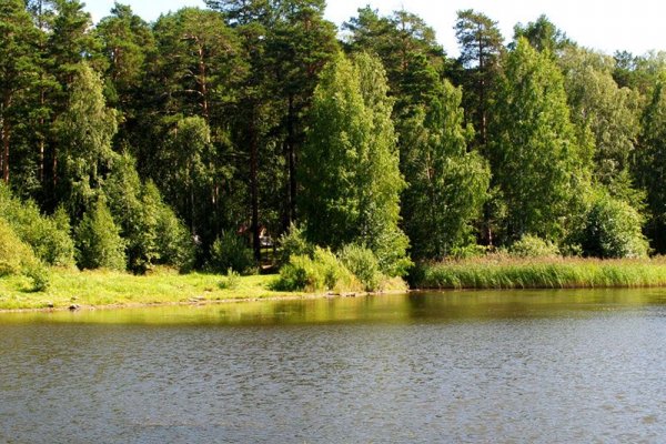 Фото Загородный клуб «Шишки»