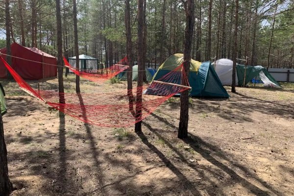 Фото Кемпинг «Цветок под снегом»