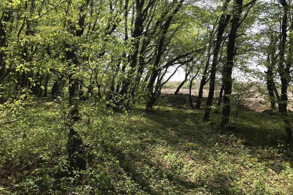 Фото Кемпинг «Аиси»