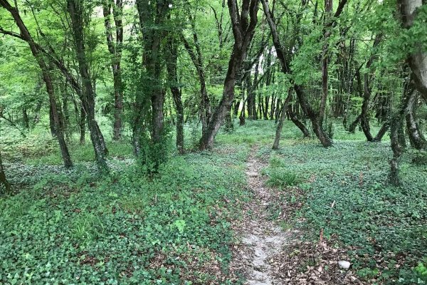 Фото Кемпинг «Аиси»