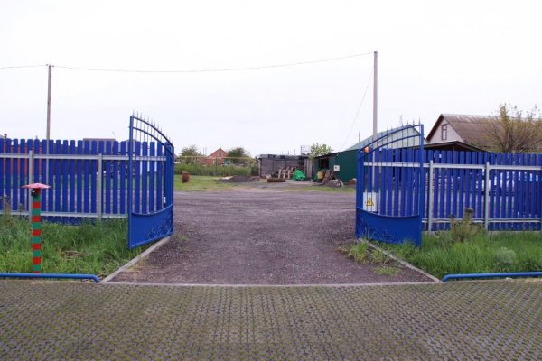 Фото Двор Сурка