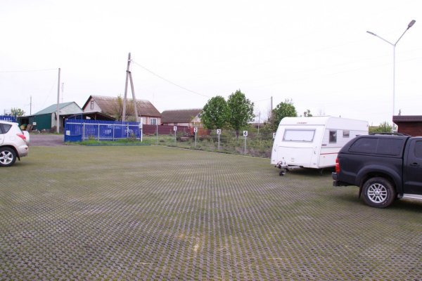 Фото Двор Сурка