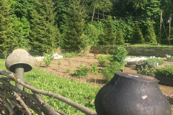 Фото Кемпинг «Отцы и дети»