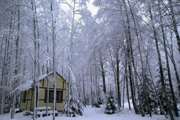 Фото База отдыха «Великое Озеро»