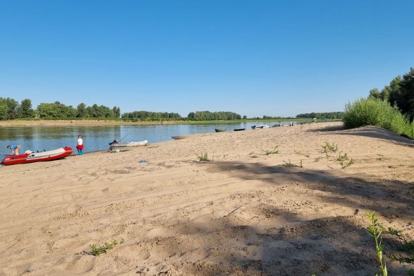 Фото База отдыха «Лес и рыба»