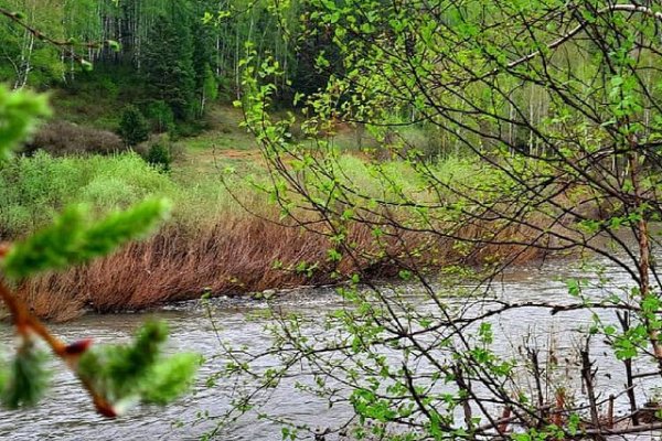 Фото База отдыха «Лукоморье»