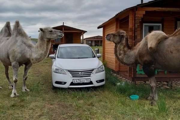 Фото База отдыха «Южный Берег»