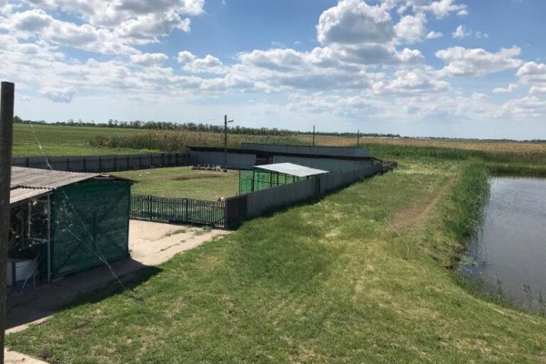 Фото Эко-деревня «Оазис Станицы»