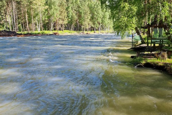 Фото Кемпинг «Синий Плёс»