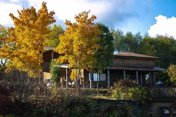 Фото База отдыха «Ладога-Марина»