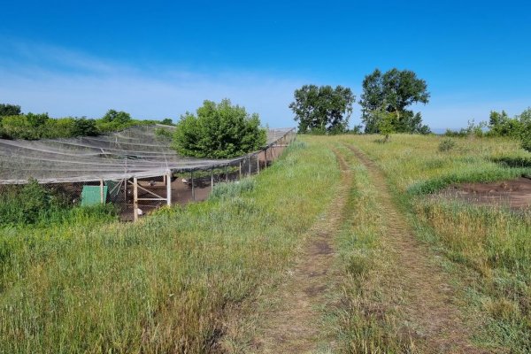 Фото Стоянка «СаянАэро»