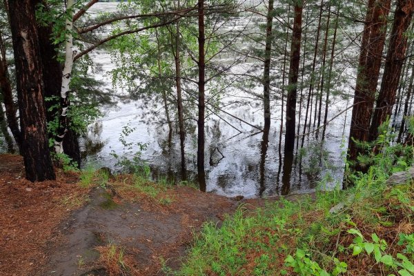 Фото Стоянка у деревни Сизая