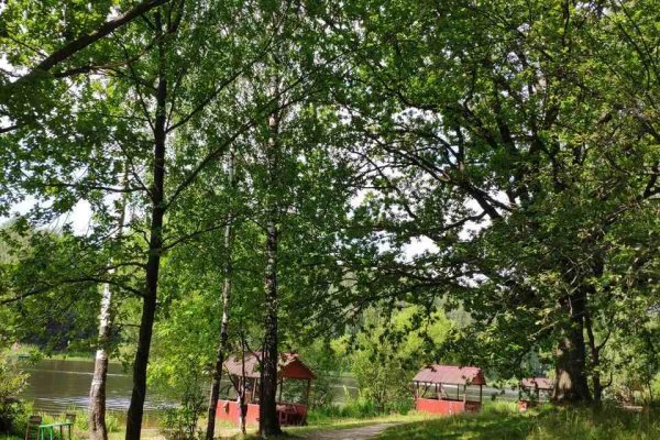 Фото Зона отдыха «Дубрава»