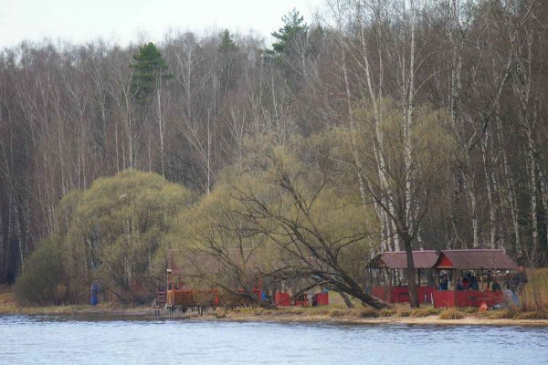 Фото Зона отдыха «Дубрава»