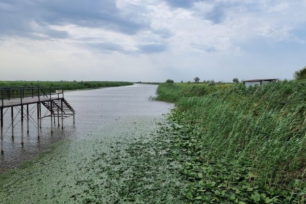 Фото База отдыха «FISH-CLUB»