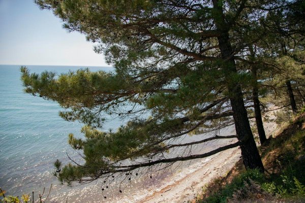 Фото Кемпинг «Свежий воздух»