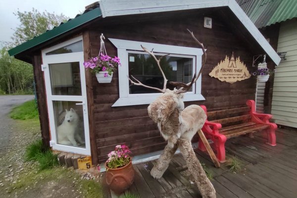 Фото Парк активного отдыха «Северное Сияние»