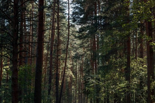 Фото Ново-Окатово