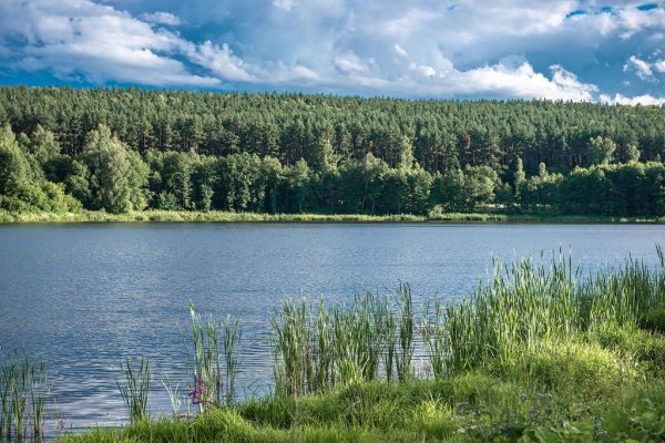Фото Парковка возле усадьбы Мосоловых