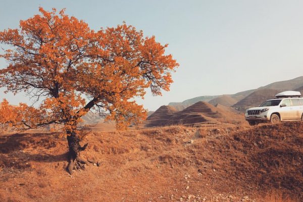 Фото TRVLCAR.me (Мурманск)