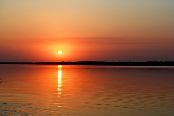 Фото Кемпинг «Лес»